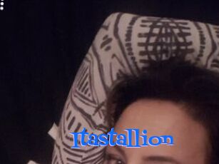 Itastallion
