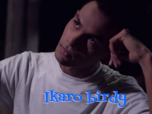 Ikaro_birdy