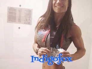 Indigofox