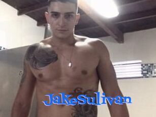 Jake_Sulivan