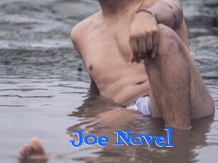 Joe_Novel