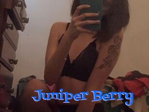 Juniper_Berry