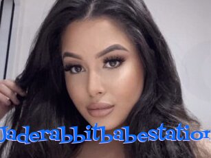 Jaderabbitbabestation