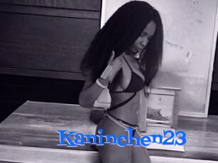 Kaninchen23