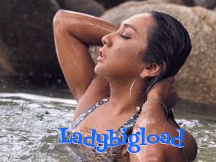 Ladybigload