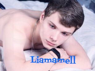 Liamamell