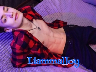 Liammalloy