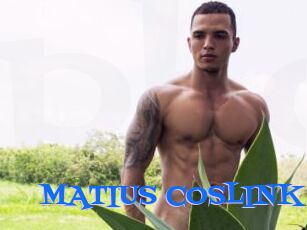 MATIUS_COSLINK