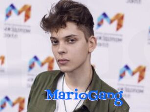 MarioGang
