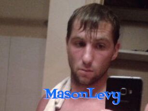 Mason_Levy