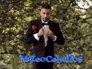 MateoCeballos