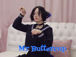 Mr_Buttercup