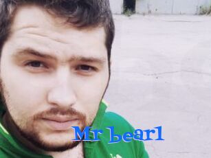 Mr_bear1