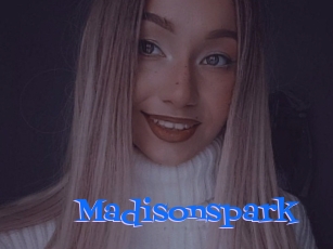 Madisonspark