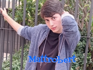 Mattrobert
