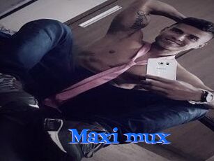Maxi_mux