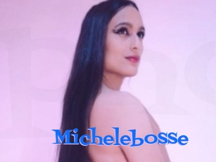 Michelebosse