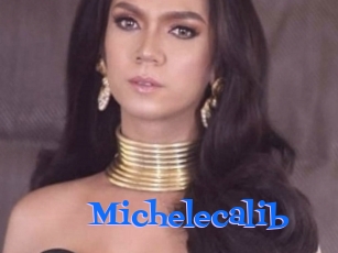 Michelecalib