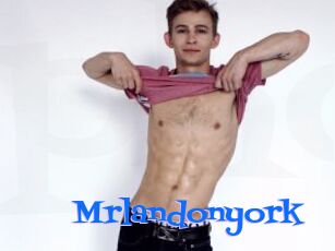 Mrlandonyork