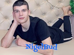 NigelBud