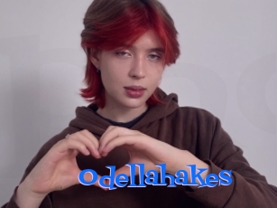 Odellahakes