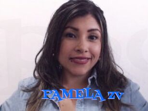 PAMELA_zv