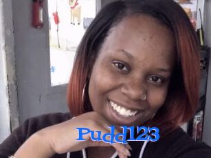 Pudd123