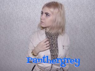 Panthergrey