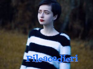 Pileacadieri