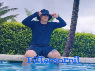 pittersornil Photos 2 X