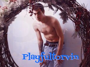 Playfultorvin