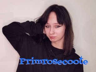 Primrosecoote