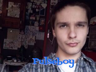 Pulseboy