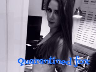 Quarantined_fox