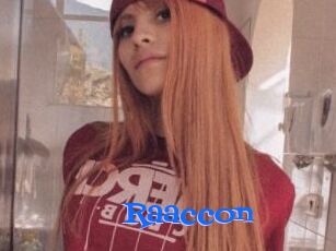 Raaccon
