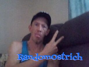 RandomOstrich