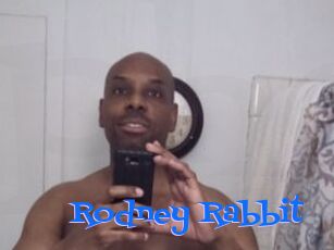 Rodney_Rabbit