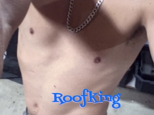 Roofking Photos 2 X
