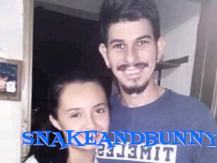 SNAKEANDBUNNY