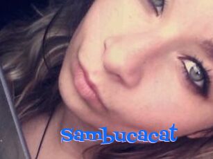 Sambucacat