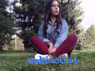 SekinoUmi