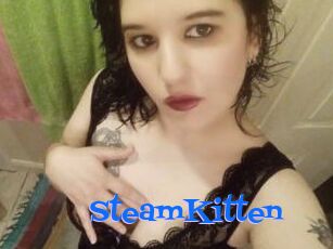SteamKitten