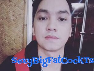_SexyBigFatCockTs_