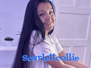 Scarlettcollie