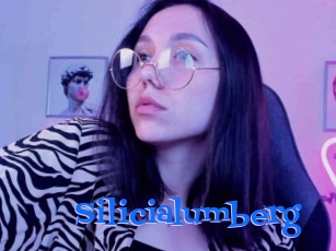 Silicialumberg