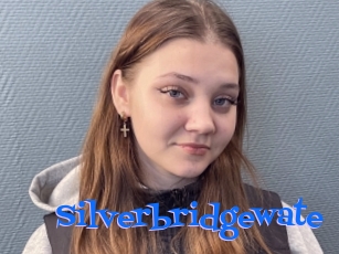 Silverbridgewate
