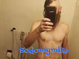 Sodomymike