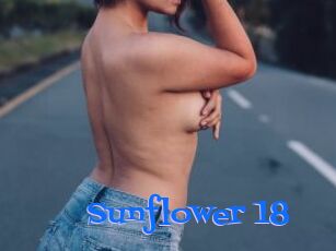 Sunflower_18