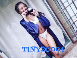 TINY20004