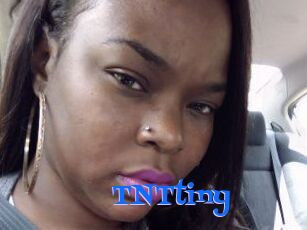 T_N_Ttiny